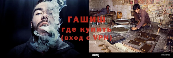 сатива Карпинск