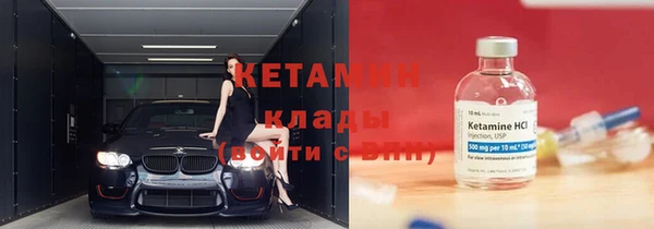 сатива Карпинск