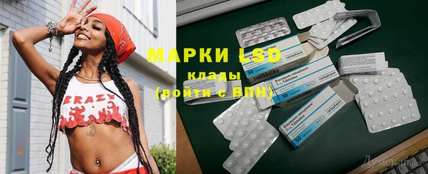 сатива Карпинск