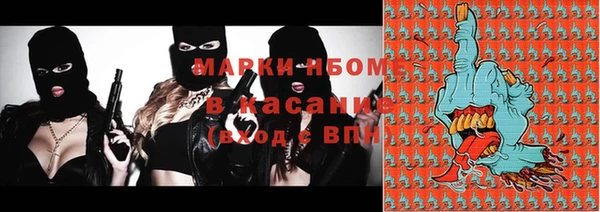 сатива Карпинск