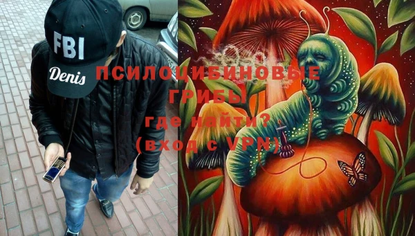 сатива Карпинск