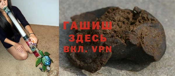сатива Карпинск